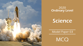 2020_sci_3.png